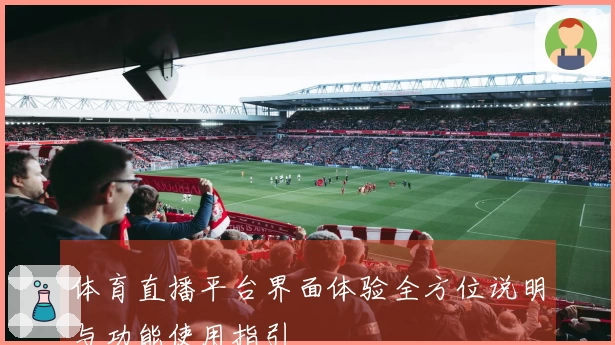 体育直播平台界面体验全方位说明与功能使用指引