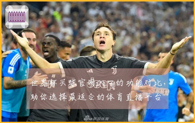 世界杯买球官网入口的功能对比，助你选择最适合的体育直播平台
