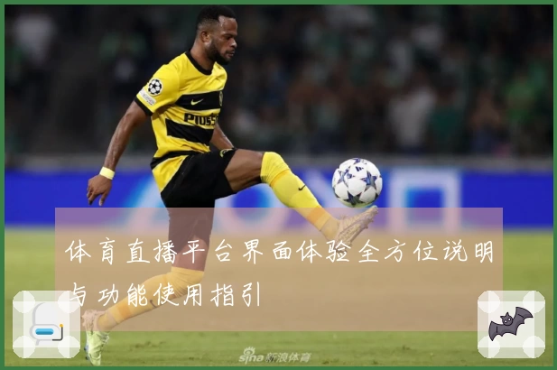 体育直播平台界面体验全方位说明与功能使用指引