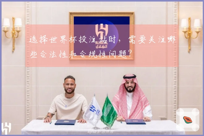 选择世界杯投注站时，需要关注哪些合法性和合规性问题？