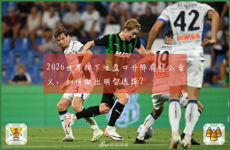 2026世界杯下注盘口升降有什么含义，如何做出明智选择？