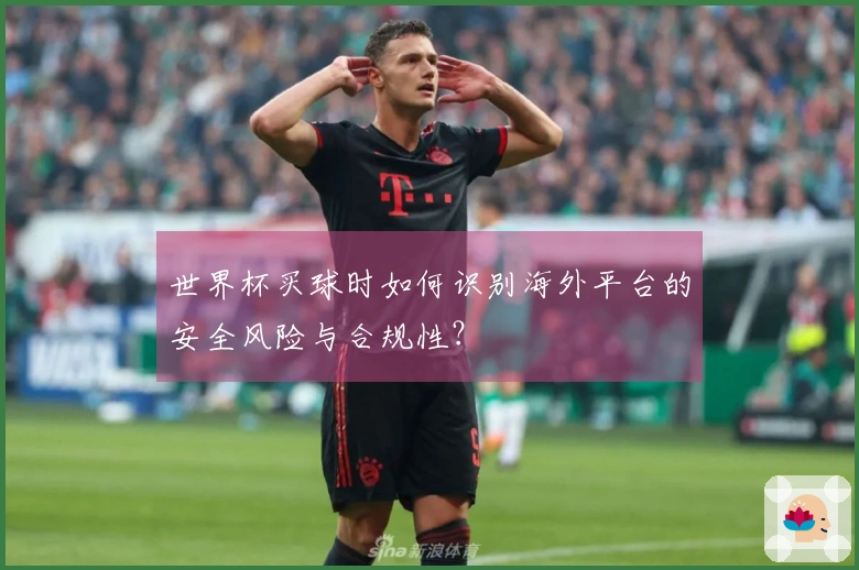 世界杯买球时如何识别海外平台的安全风险与合规性？