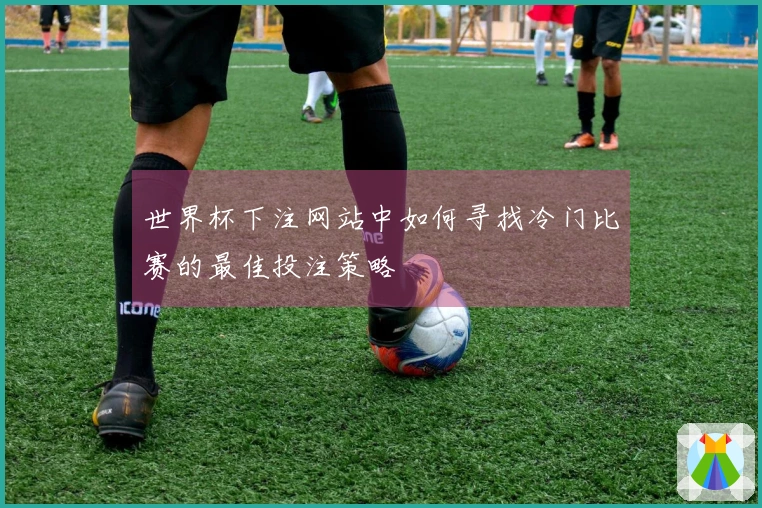 世界杯下注网站中如何寻找冷门比赛的最佳投注策略