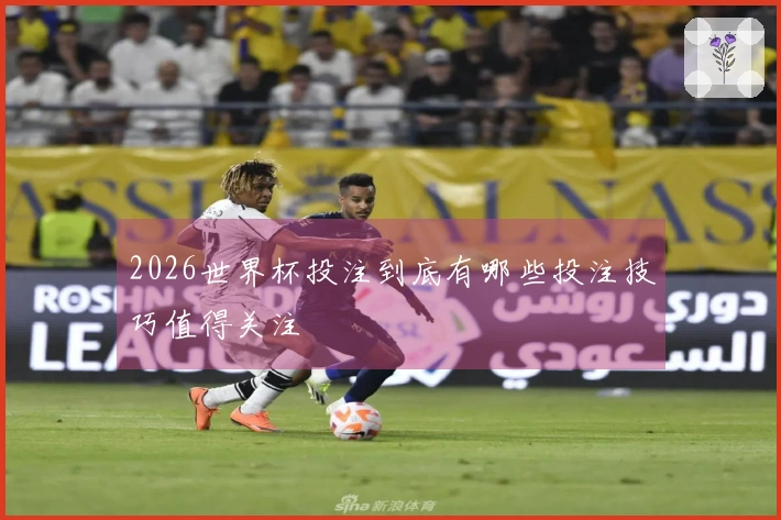 2026世界杯投注到底有哪些投注技巧值得关注