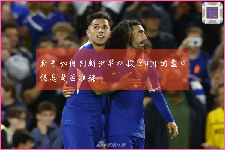 新手如何判断世界杯投注app的盘口信息是否准确