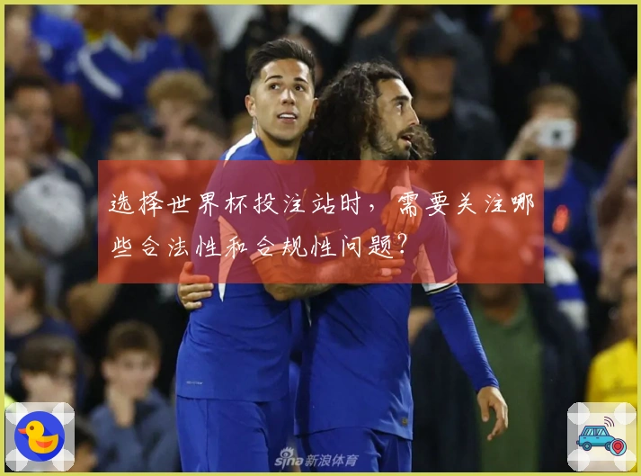 选择世界杯投注站时，需要关注哪些合法性和合规性问题？