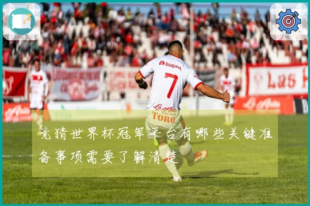 竞猜世界杯冠军平台有哪些关键准备事项需要了解清楚