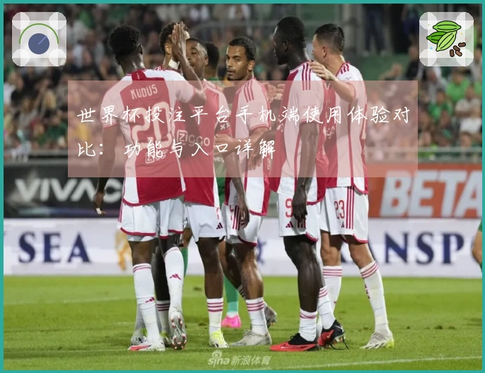 世界杯投注平台手机端使用体验对比：功能与入口详解