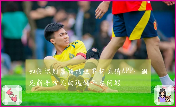 如何识别靠谱的世界杯竞猜APP，避免新手常见的选错平台问题