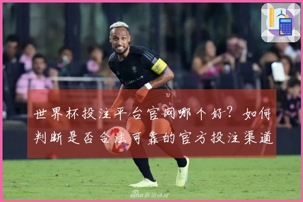 世界杯投注平台官网哪个好？如何判断是否合法可靠的官方投注渠道