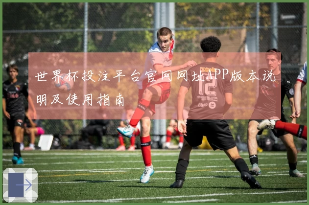 世界杯投注平台官网网址APP版本说明及使用指南